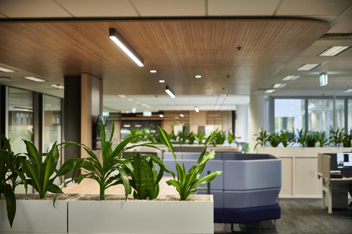 Project Gallery Image 5