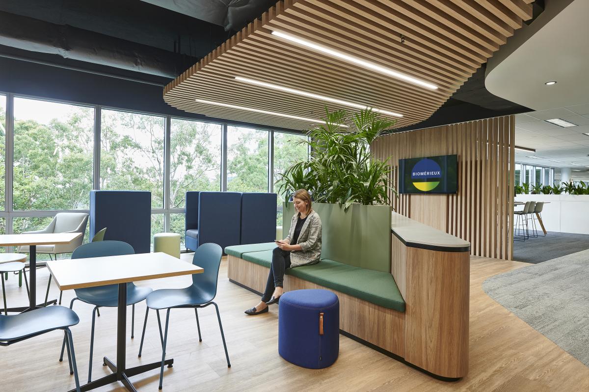 Project Gallery Image 7