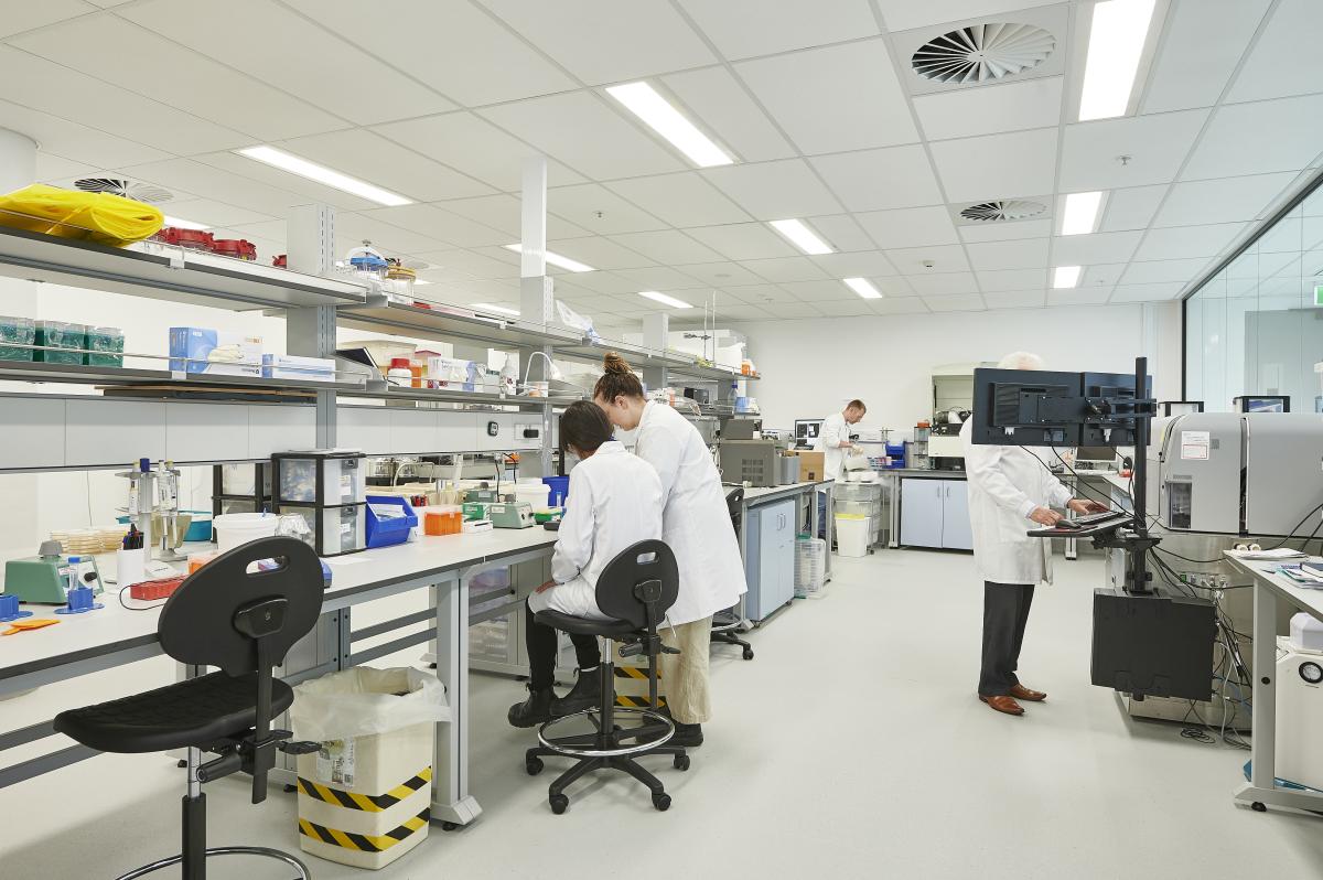 Project Gallery Image 11