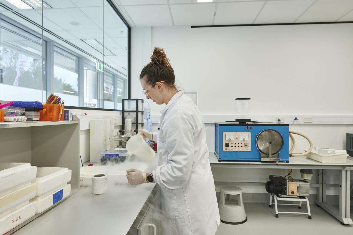 Project Gallery Image 10