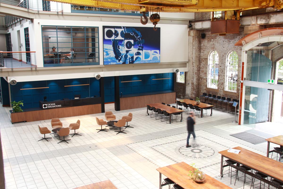 Project Gallery Image 5