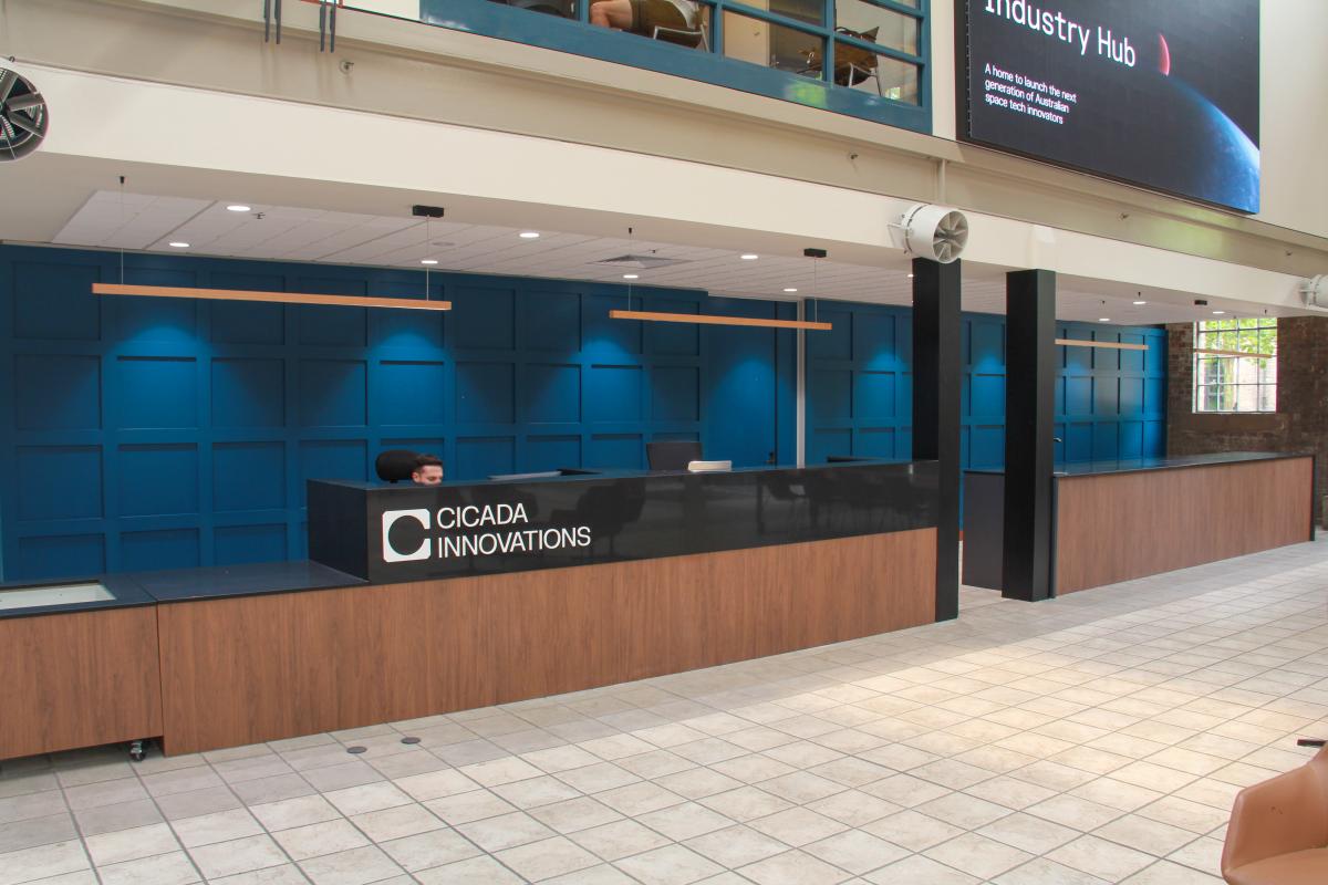 Project Gallery Image 4