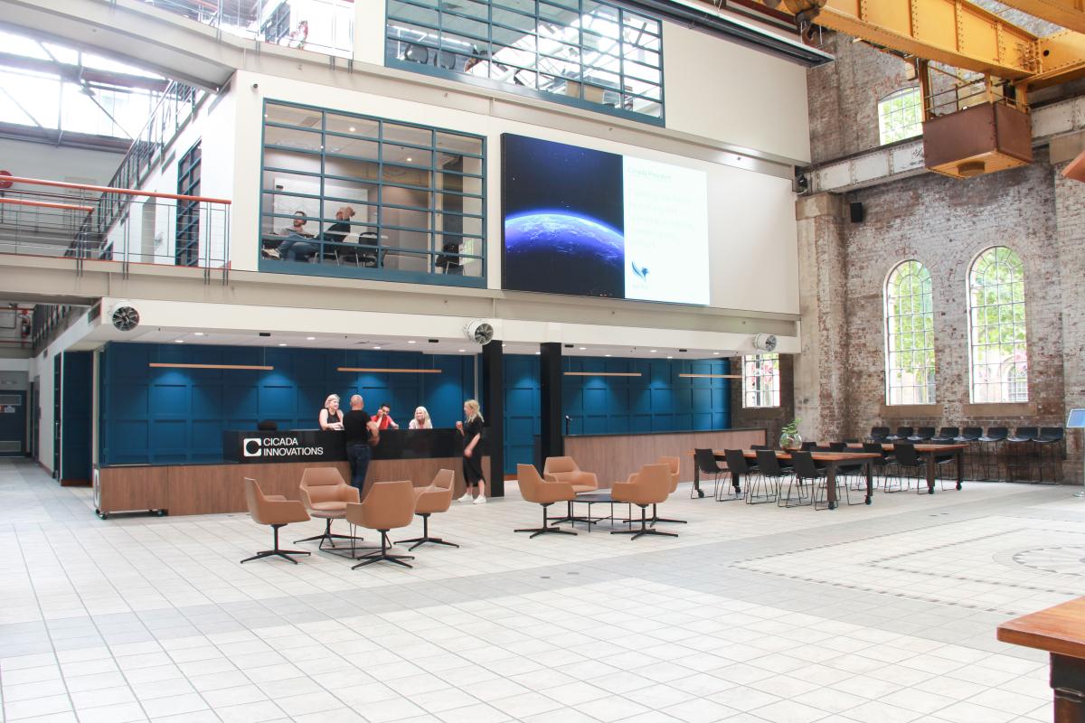 Project Gallery Image 1