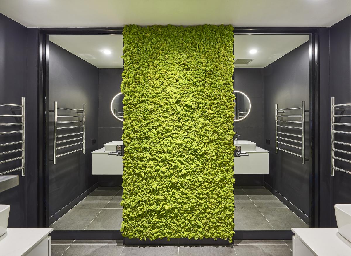 Project Gallery Image 3