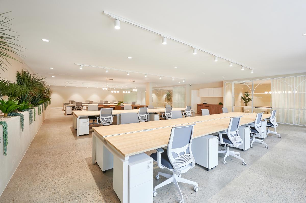 Project Gallery Image 5